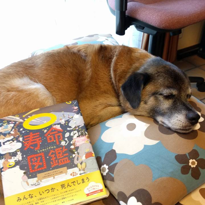 431f7fd1 dc66 42b5 80eb 6563aa8f866f