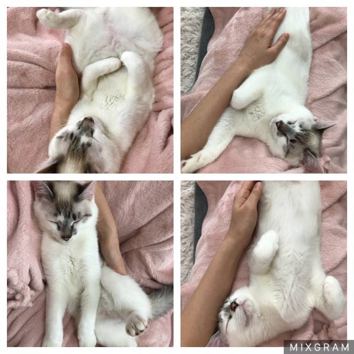 431fd10d aa6b 49fb b0a1 103731eb4a22