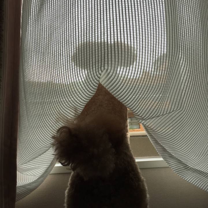 431fe854 021b 416f 9bcb 91359c2e3c11