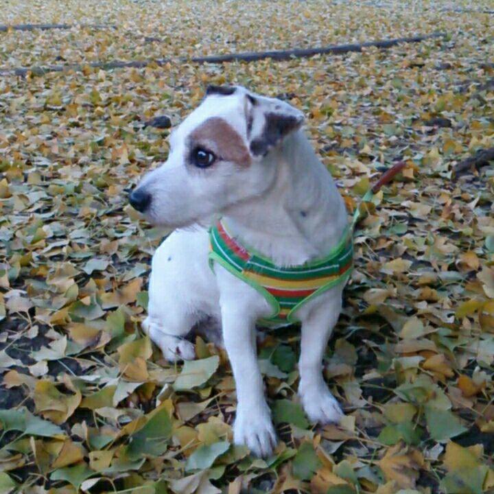 432031a0 49fd 4d88 9ef4 93d86347402b