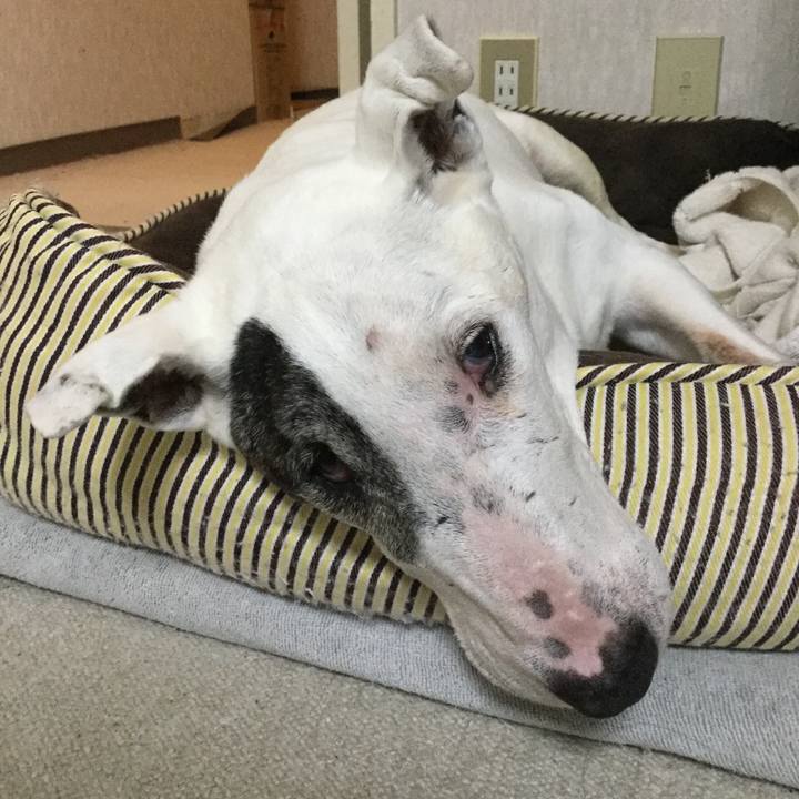 43209ade 41c0 4caf a245 0653c1f48fdf