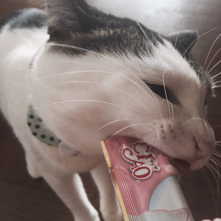 432125fc 299e 401f ace3 a789f9056fe2