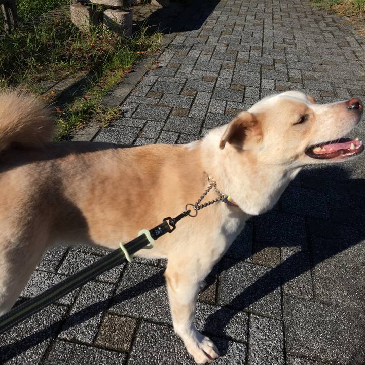 43215e48 9b39 41eb aaeb b32074bb87ce