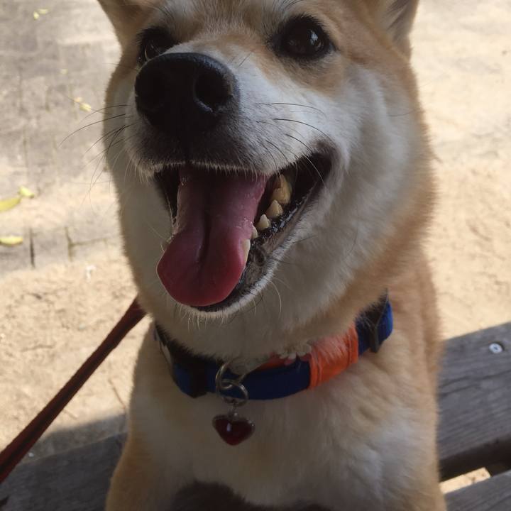 4321cdaf fadb 47cb aa26 665513b45fbc