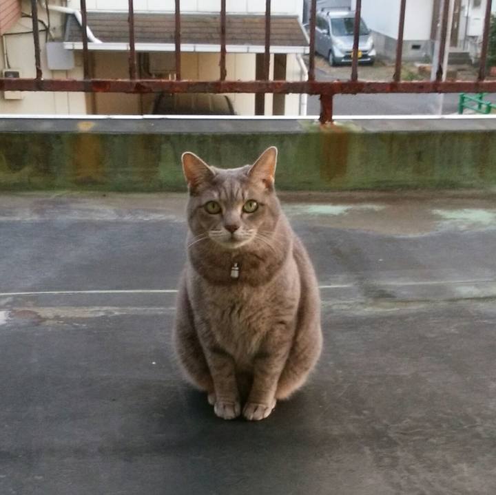 4321f777 1ea3 427b 8495 23069d8c4ac4