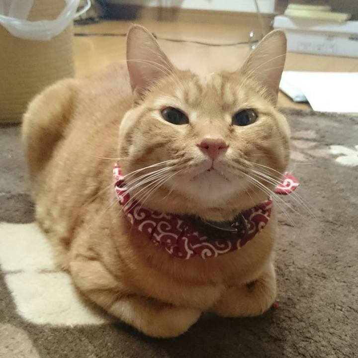 4321fbd5 3393 4548 891f 05ecaebe97e1