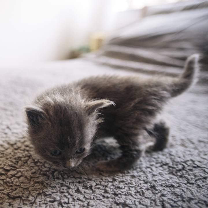 432260c8 3bb6 4a1a b899 f730b727e02d