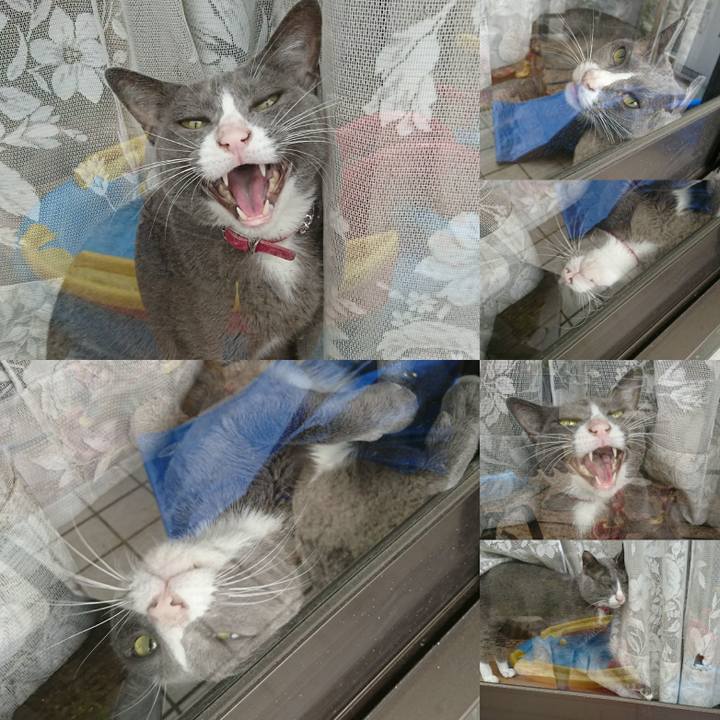 4322ba1b 42df 4c76 b37f 6f87c9c44eb4