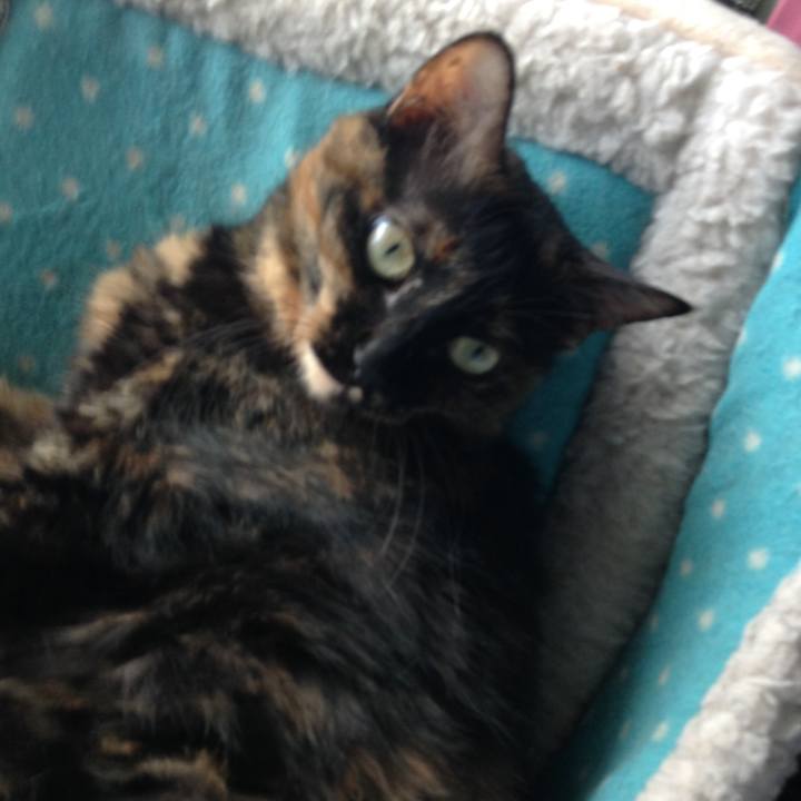 4322cca5 e260 46ae 8cb7 fa3d2faf8d13