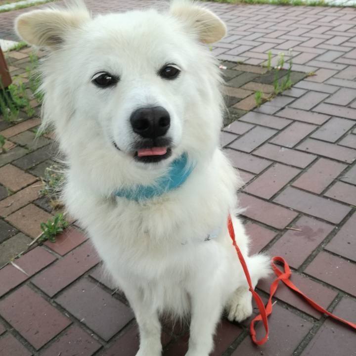 4322f73e f29d 4a99 8502 b9d63eab7746