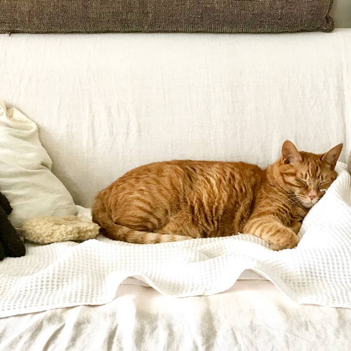 43239873 4d93 4719 95d1 ac1280337017