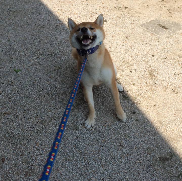 4323b201 3e38 4d01 b2c4 26c616a2087f