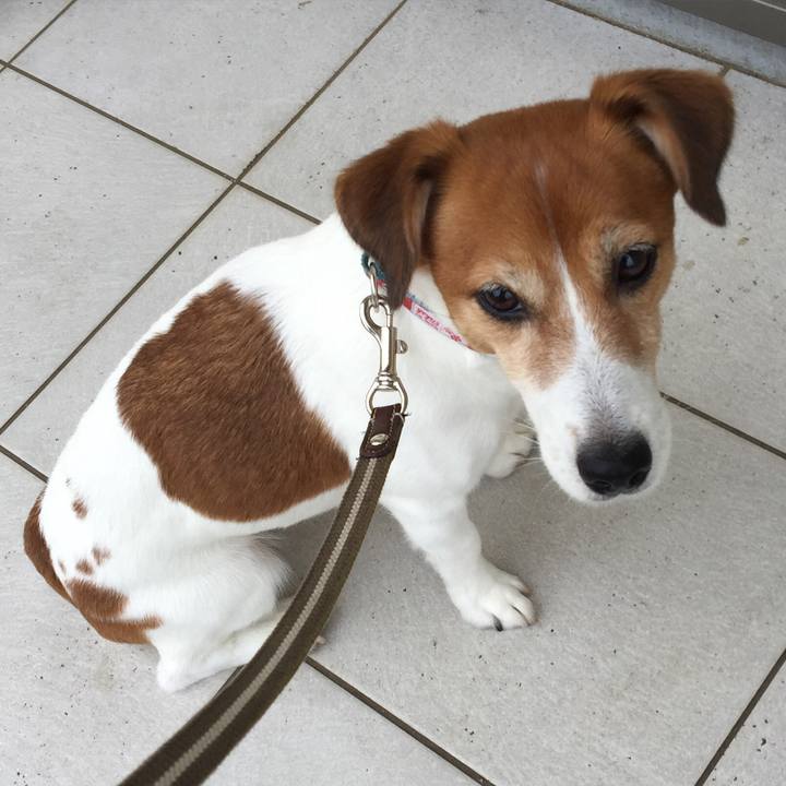 43242a87 13b7 4e51 8fe6 d85fdcd848a4