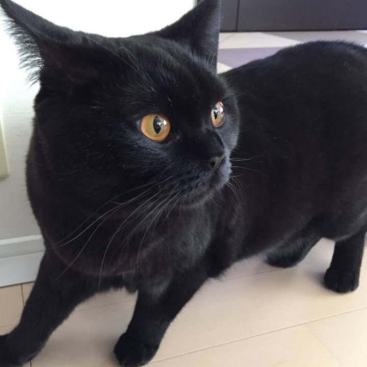 4324d8d3 a815 43a7 99e9 e35dec00f676