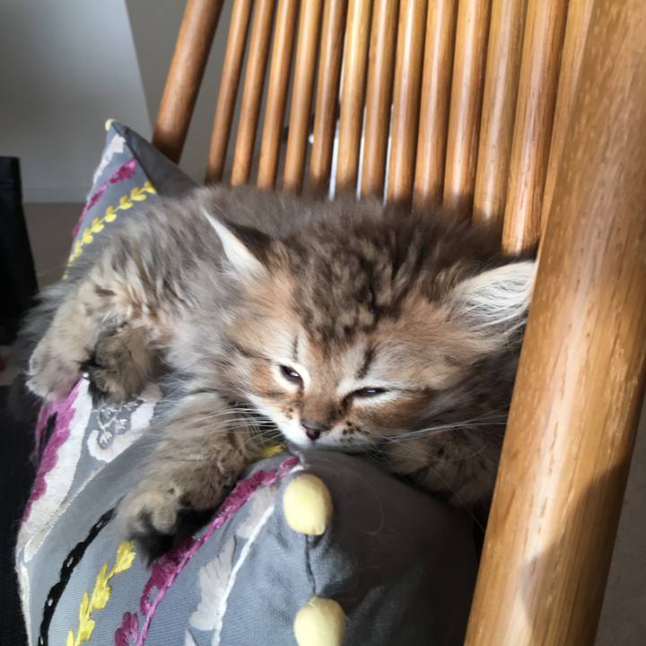 4325c105 6cd7 41f2 945d 253671e81deb