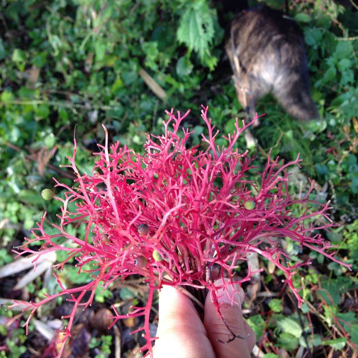 4325ef99 e577 4f5d abfe 857425fb580b