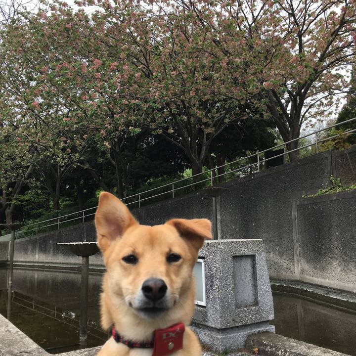 43267c55 571c 47c4 bd56 63aa81f35f6f