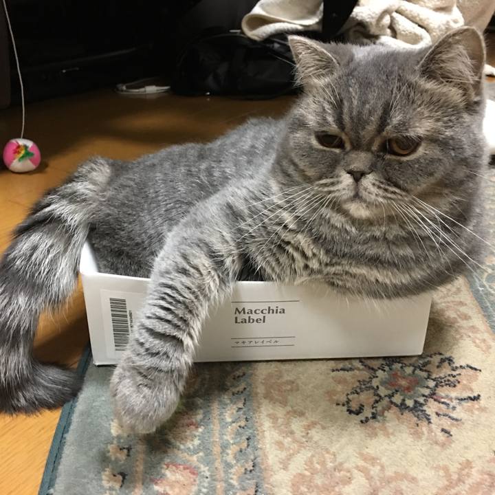 4327528e 0057 4e97 8da9 24b25ab1e3df