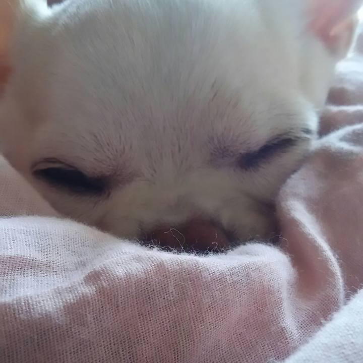 4327793f a754 4778 9157 719dc59b5d57