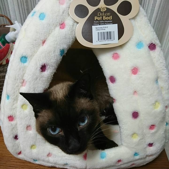 4328d3e2 b573 4015 8172 fad94312ac79