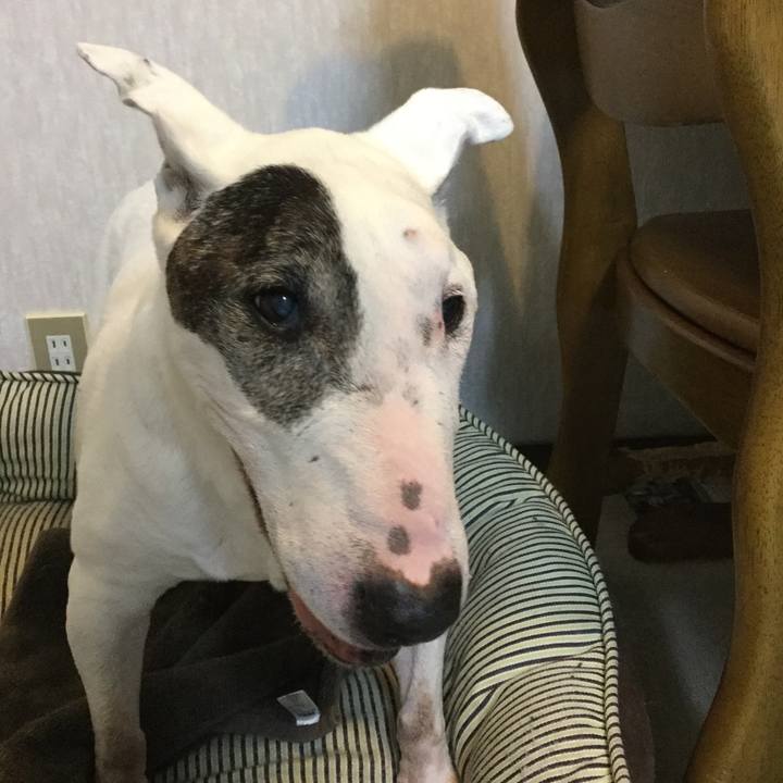 4328debd fb72 430c a1ef 7b6b92ccfa11