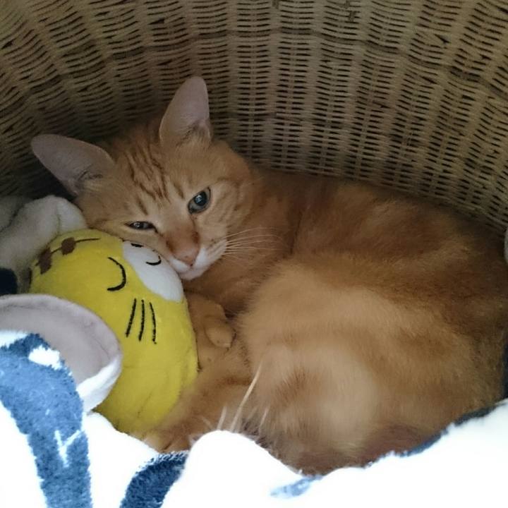 4328e4c6 784d 4140 9e22 3cc333c32fb6