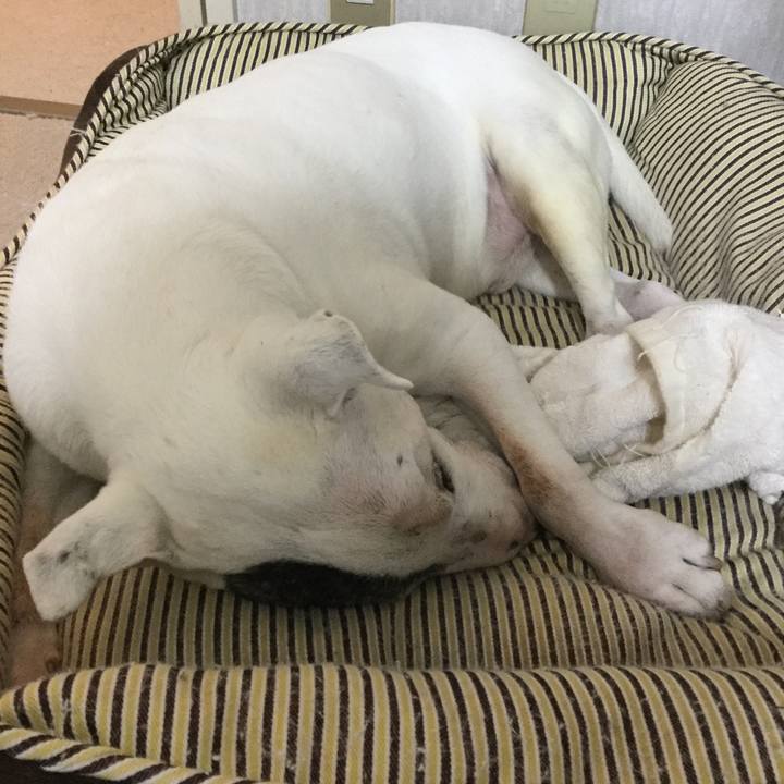 4329c0e7 58c5 4f09 924b 0fda2f4c3bdf