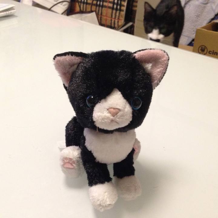 432aef1f 8756 4a08 94c9 a79b3d54e33a