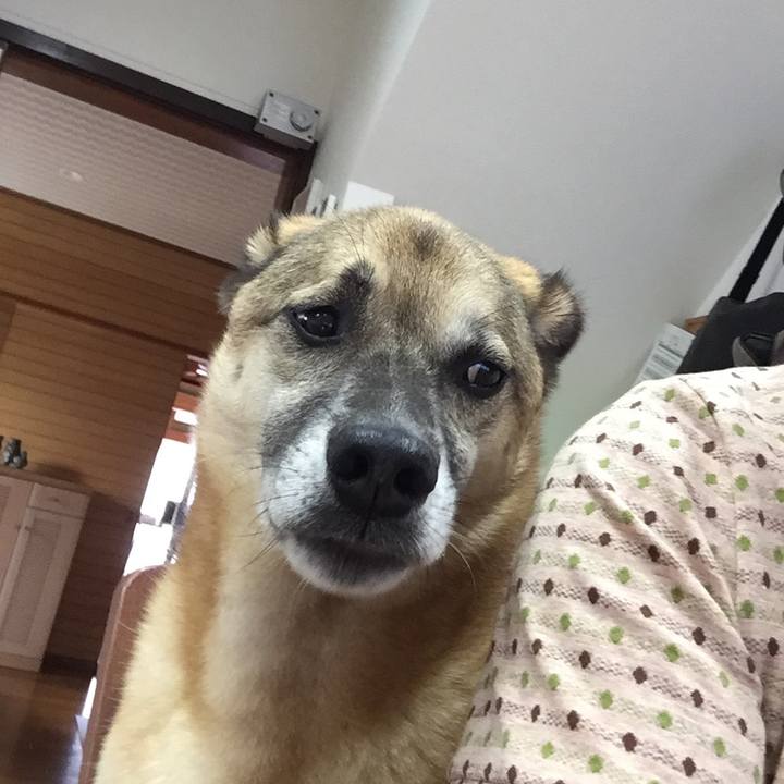 432b6dd3 1cf9 4344 bf0e 08ea36aa2759