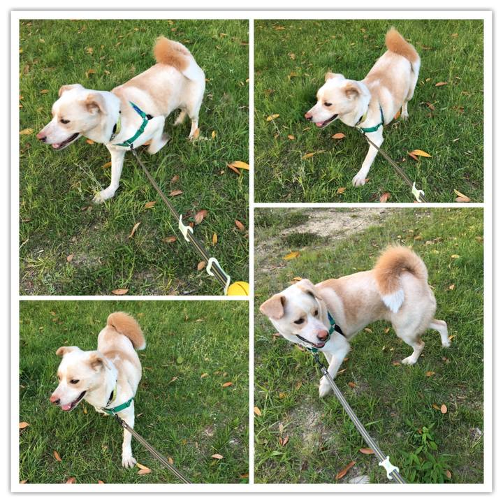 432c0f7b fad0 4e22 9172 903807a2e286