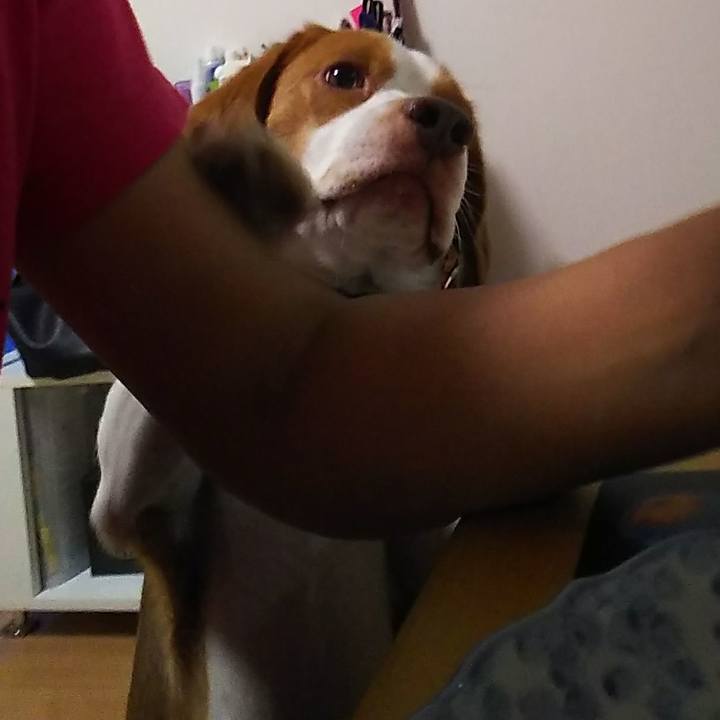 432ce29b 371e 4593 af2e f03393dae3db