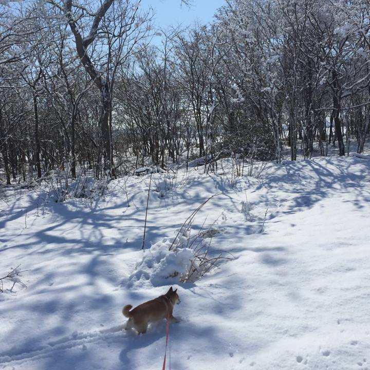 432cf846 0ae8 4fe9 8628 f05ea7b9022c