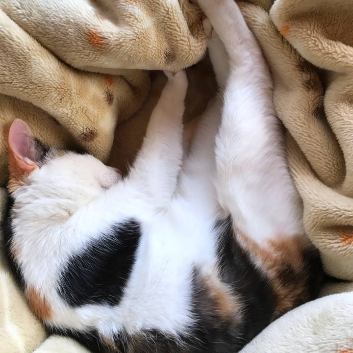 432d6366 8ef7 49ea bde0 5b15b5308dbb