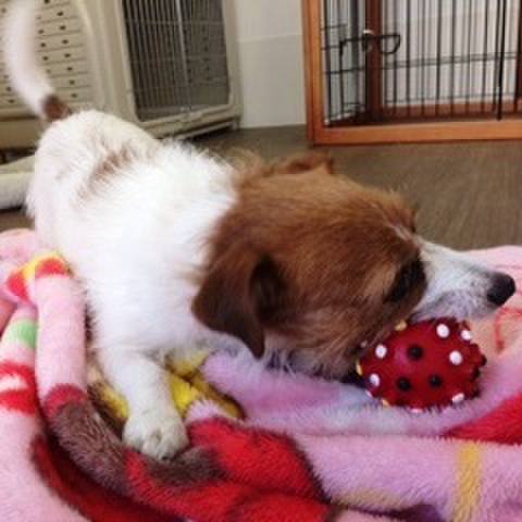 432de137 1da4 480c a995 fb82e17a043d