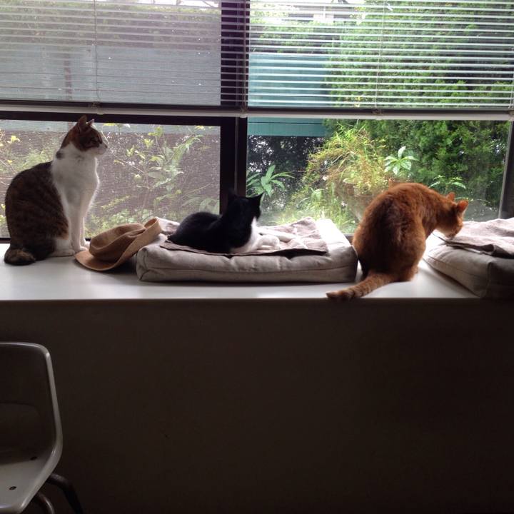 432e2290 4909 4215 a24d ec338583c885