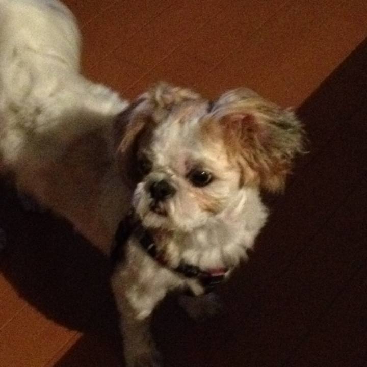 432f9a3b a797 49fb 9879 4b05e4835edc