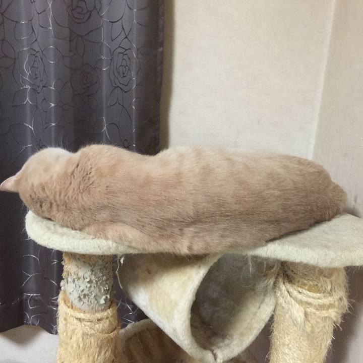 432faa24 02e5 41e2 9c6b ade584ac14c8