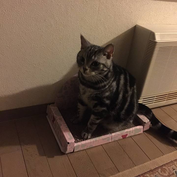 432fe017 ca19 4163 bffc 6187ced17acd