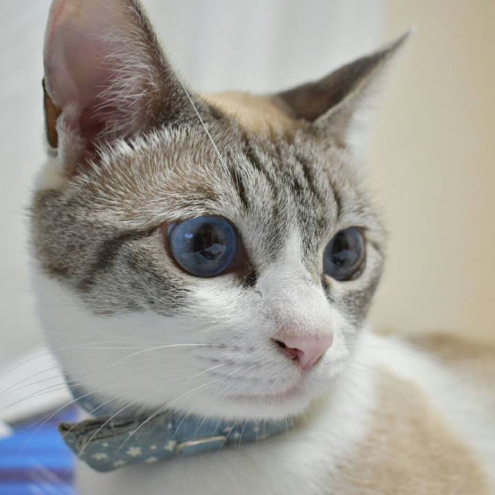 4330b43c ec91 4079 8710 a2fe24765863