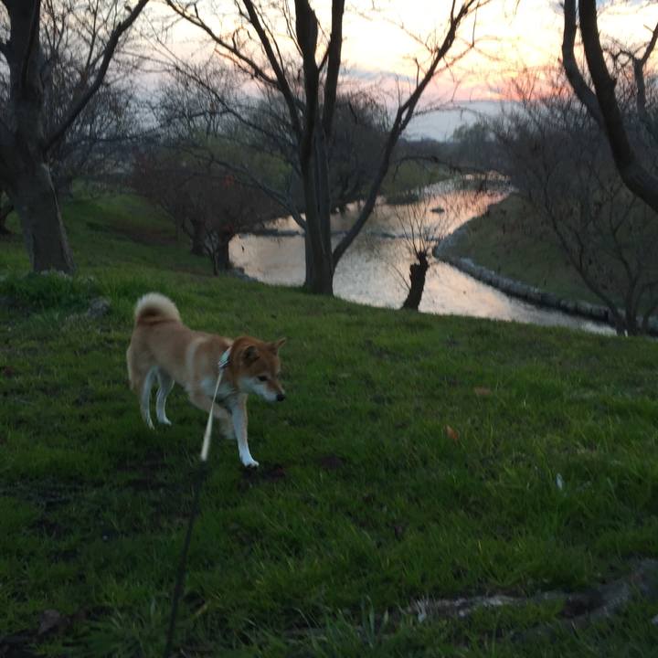 4331208a 1335 4600 a06c 0e2feb40dcf5