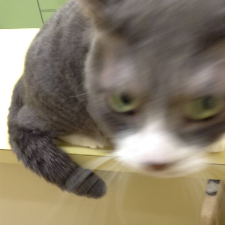 43319564 aefd 4230 8851 280fdfacbdab