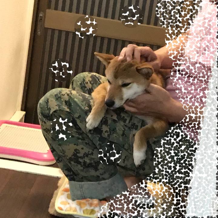 433276bd 961e 49c3 9bfa 81b06aa0a38c