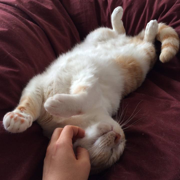 433342eb 0f62 4877 9925 f7565cf2726e