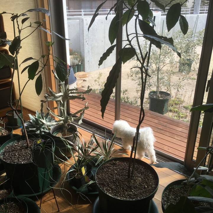 4333bcd5 a2b4 4dd6 acdb a5822c6146f6