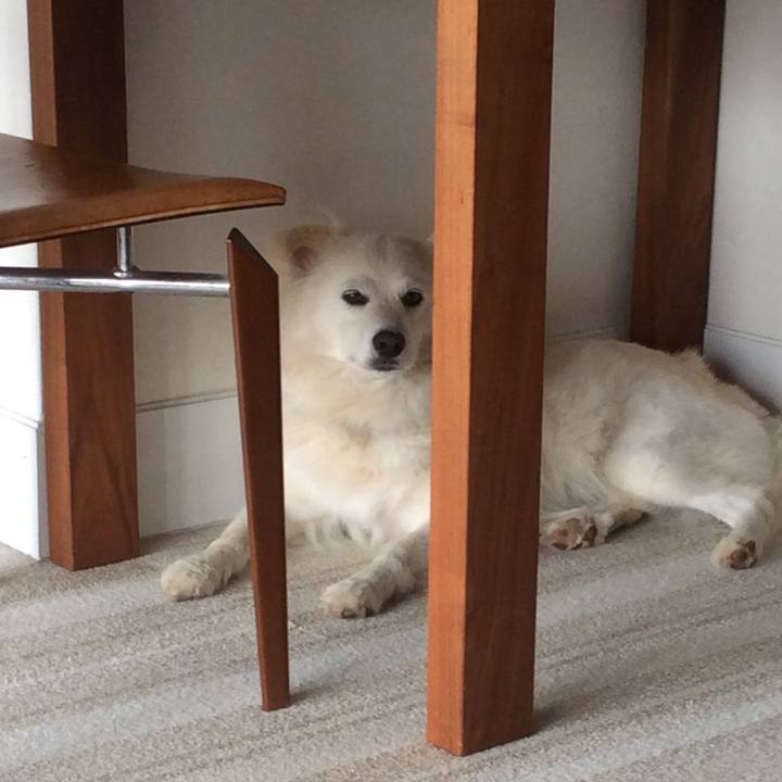 4333cc5e b168 42ee b39e df11775e31bb