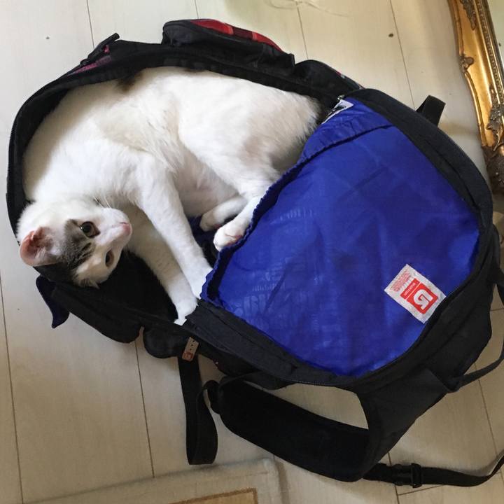 43340670 be6b 4223 93f1 093c4b137638