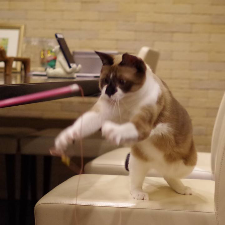 43341300 ee1d 4732 909f 87be6321cb5a