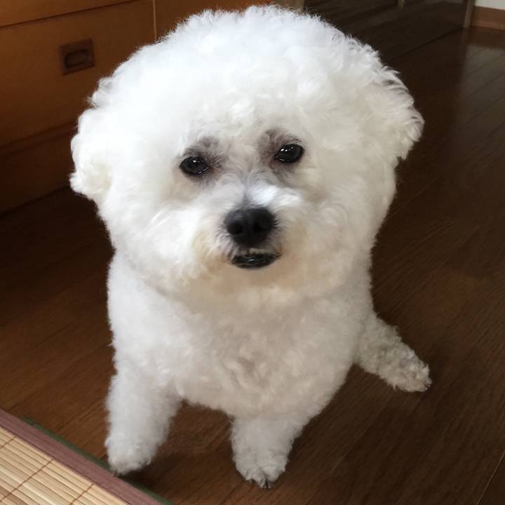 4334be8f 68fd 43e9 b638 be1d1c0c6471