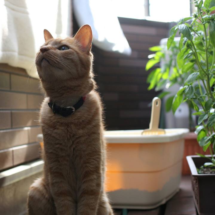 43351477 26c5 4188 98d6 97cb1f762ab5