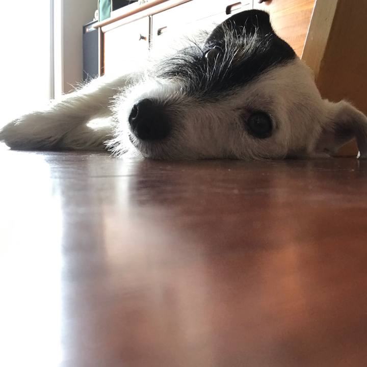 4335289e 0586 4603 8d2a e8b46d8dcca4